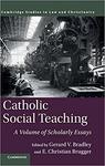 Catholic Social Teaching: A Volume of Scholarly Essays by Gerard V. Bradley